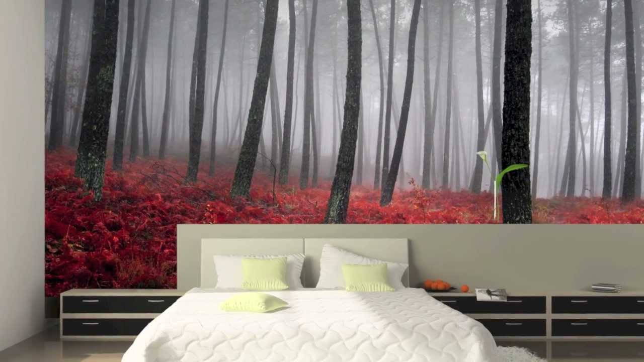 Photo Wall Mural Wallpaper